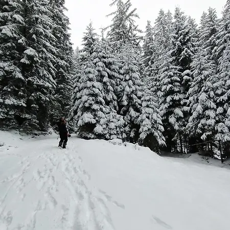 Domul Poarta Retezat